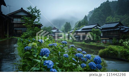 故郷の紫陽花 115442298