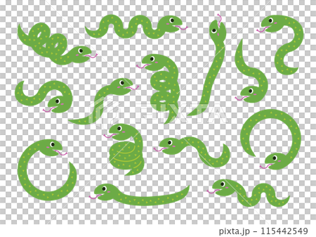 かわいい緑色の蛇のイラストセット 115442549