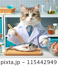 研究中のネコ 115442949