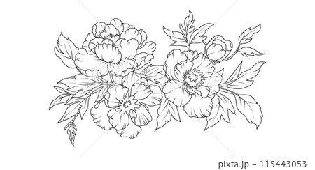 Peony flower arrangement line art on white background. Silhouette botanical hand drawn element for wedding, invitation frame design, vector illustration Peony flower arrangement line art on white background. Silhouette botanical hand drawn element for wedding, invitation frame design, vector illustration 115443053
