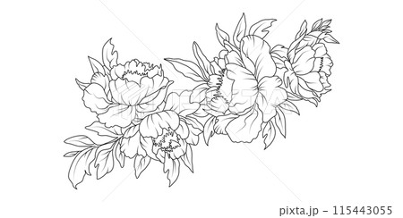 Peony flower arrangement line art on white background. Silhouette botanical hand drawn element for wedding, invitation frame design, vector illustration Peony flower arrangement line art on white background. Silhouette botanical hand drawn element for wedding, invitation frame design, vector illustration 115443055