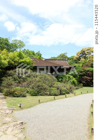 京都　大河内山荘庭園の新緑 115443520