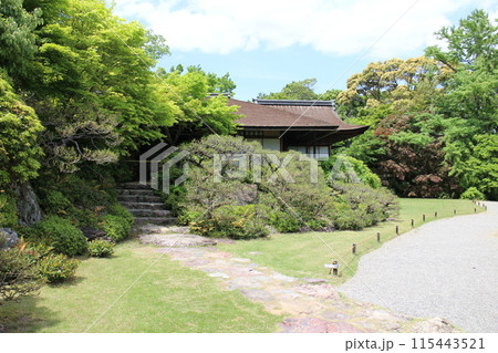 京都 大河内山荘庭園の新緑 京都 大河内山荘庭園の新緑 115443521