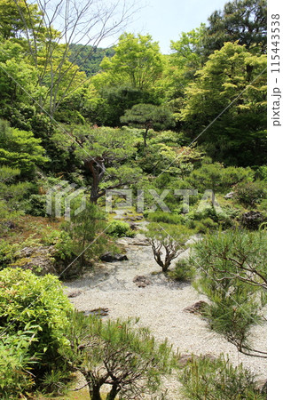 京都 大河内山荘庭園の新緑 京都 大河内山荘庭園の新緑 115443538