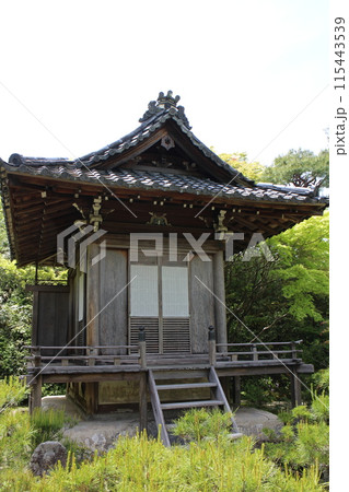 京都 大河内山荘庭園の新緑 京都 大河内山荘庭園の新緑 115443539