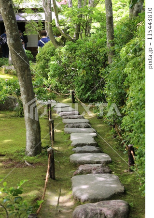 京都　大河内山荘庭園の新緑 115443810