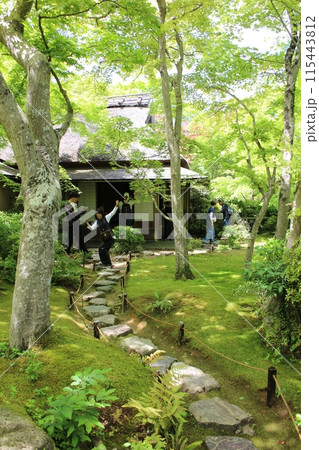 京都 大河内山荘庭園の新緑 京都 大河内山荘庭園の新緑 115443812