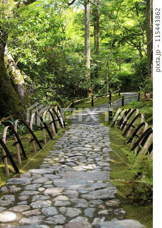 京都 大河内山荘庭園の小道 京都 大河内山荘庭園の小道 115443862