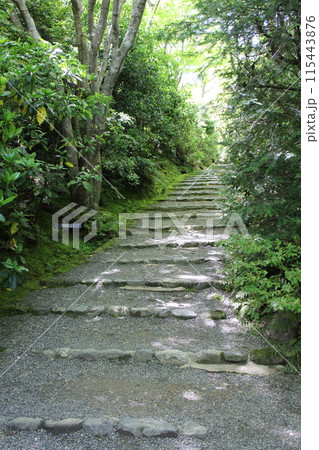 京都　大河内山荘庭園の小道 115443876