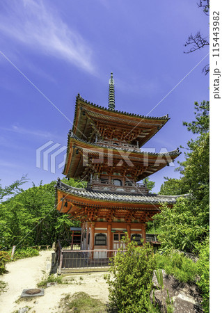 生口島 向上寺 三重塔 広島県尾道市 生口島 向上寺 三重塔 広島県尾道市 115443982