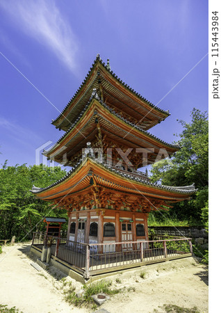 生口島　向上寺　三重塔　広島県尾道市 115443984