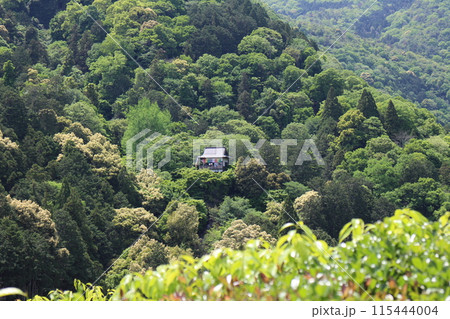 京都　大河内山荘庭園から望む千光寺 115444004