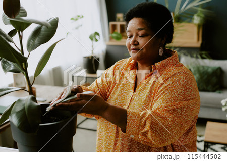 African American woman wiping green rubber fig with calmness on her face 115444502
