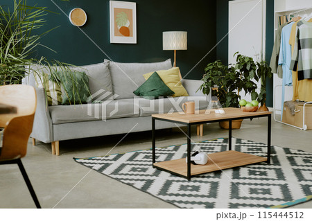 Two seat sofa with pastel colored cushions on it standing in front of wooden coffee table with geometric square black and white carpet on floor 115444512