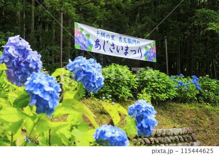 大師の里　あじさい祭り 115444625
