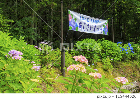 大師の里　あじさい祭り 115444626