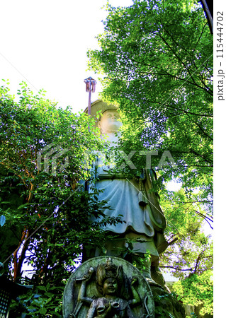 【東京】初夏の玉川大師　木の間から覗く修行大師像 115444702