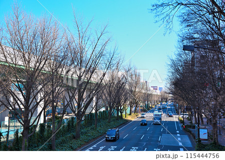 《愛知県》名古屋都市風景　若宮大通 115444756