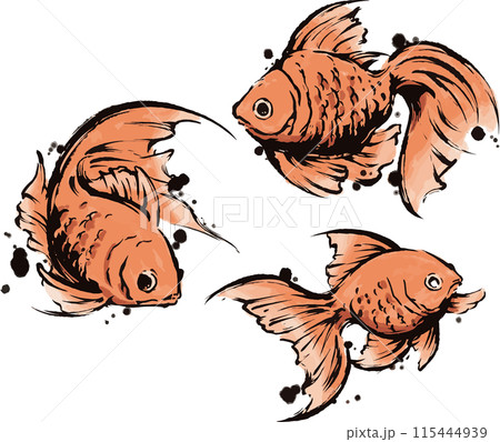 金魚のイラスト素材 [115444939] - PIXTA