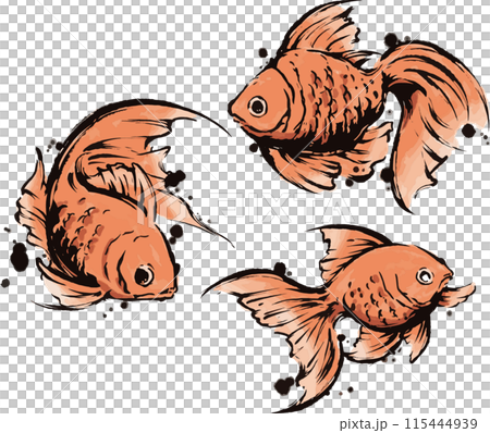 Goldfish Goldfish 115444939