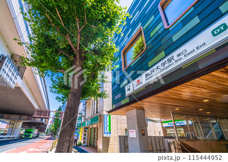 日本の東京都市景観 6月。東急電鉄　駒沢大学駅 東口などを望む 115444952