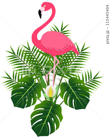 Pink flamingo and monstera and tropical palm leaves. 115445404