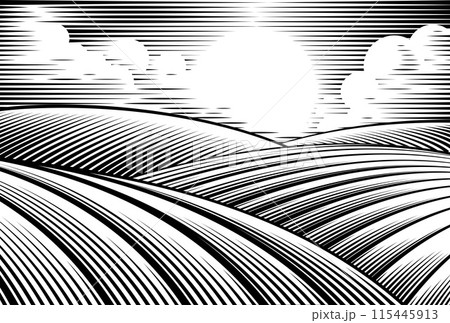 Rolling Hills Drawing In A Vintage Woodcut Style 115445913