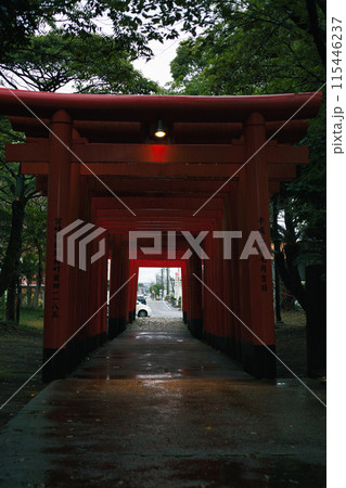 雨の降る神社 鳥居 雨の降る神社 鳥居 115446237