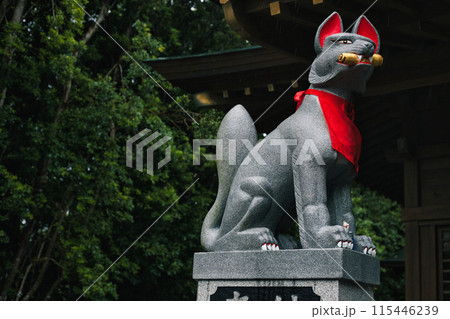 雨の降る神社　駒狐 115446239