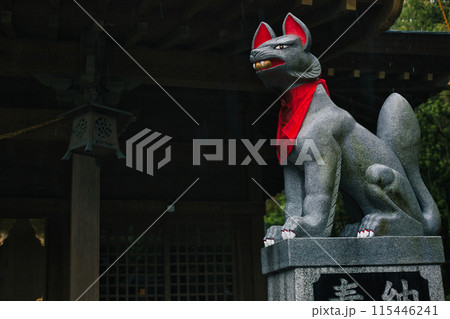 雨の降る神社　駒狐 115446241