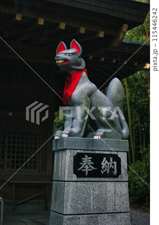 雨の降る神社　駒狐 115446242