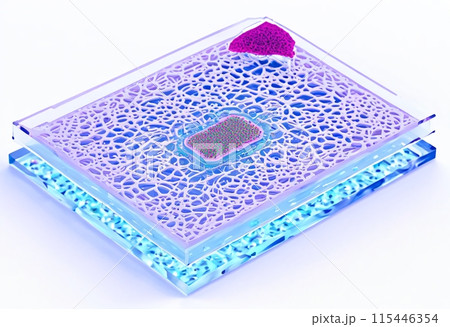 【AI生成】3Dバイオプリンティング - 臓器チップ 220137 【AI生成】3Dバイオプリンティング - 臓器チップ 220137 115446354
