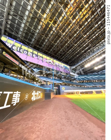 整備された野球場 エスコンフィールド 整備された野球場 エスコンフィールド 115446471