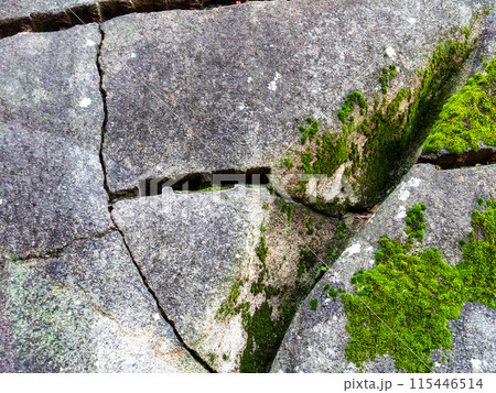岡山城の力強い石垣の景色 苔むした石垣 岡山城の力強い石垣の景色 苔むした石垣 115446514