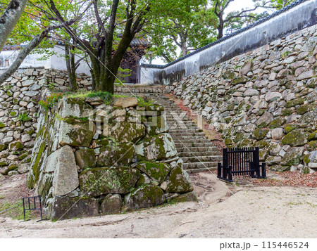 岡山城の力強い石垣の景色　石段と門 115446524