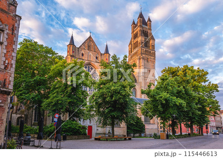 St Salvators Cathedral, aka Cathedral of the Saviour and St. Donat, in Bruges, Belgium 115446613