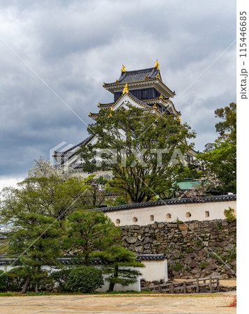 暗雲のもとラスボス感漂う力強い岡山城 暗雲のもとラスボス感漂う力強い岡山城 115446685