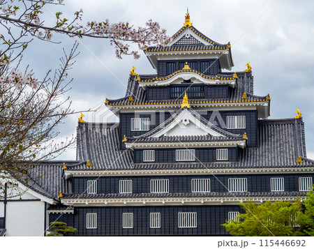 暗雲のもとラスボス感漂う力強い岡山城 115446692