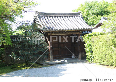 京都　修学院離宮　旧表総門と新緑 115446747