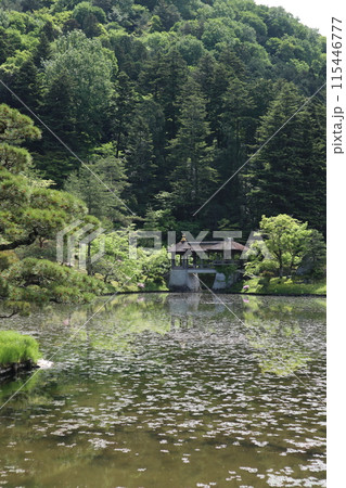 京都 修学院離宮 浴龍池と千歳橋 京都 修学院離宮 浴龍池と千歳橋 115446777