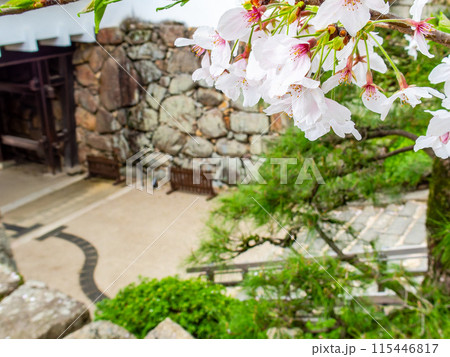 力強い岡山城不明門の景色 力強い岡山城不明門の景色 115446817