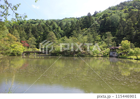 京都 修学院離宮 浴龍池と新緑 京都 修学院離宮 浴龍池と新緑 115446901