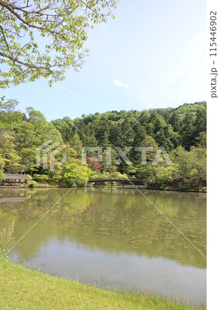 京都 修学院離宮 浴龍池と新緑 京都 修学院離宮 浴龍池と新緑 115446902