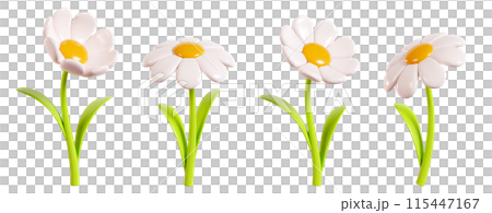 Daisy plastic flower with white petals, green stem and leaf in different angles of view cartoon icon 3d render illustration. Chamomile bubble bloom for spring and summer design. Glossy balloon blossom Daisy plastic flower with white petals, green stem and leaf in different angles of view cartoon icon 3d render illustration. Chamomile bubble bloom for spring and summer design. Glossy balloon blossom 115447167