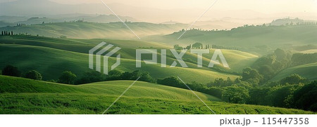 Serene Summer Vistas: Cinematic Documentary Photography of Rolling Green Hills in Late Afternoon Sunlight 115447358