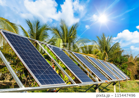 photovoltaic solar power panel for agriculture in a rural houses area Agricultural fields blue sky background,Agro-industry of household Rural style in Thailand, smart farm alternative clean energy. 115447496