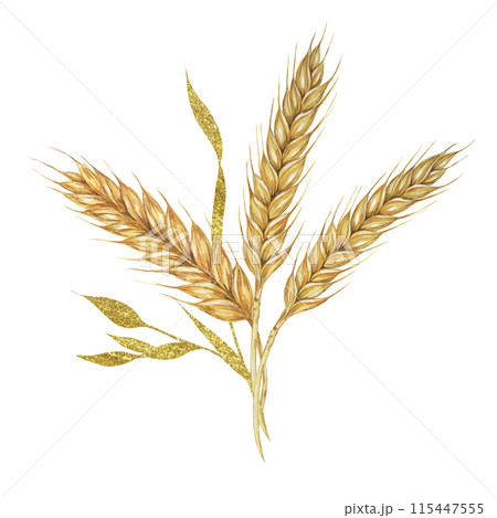 Wheat ears bouquet. Barley stalks watercolor design with gold elements. Rustic clipart for barn wedding invitations, save the date, Thanksgiving, Shavuot, bakery design, labels and gift tags 115447555