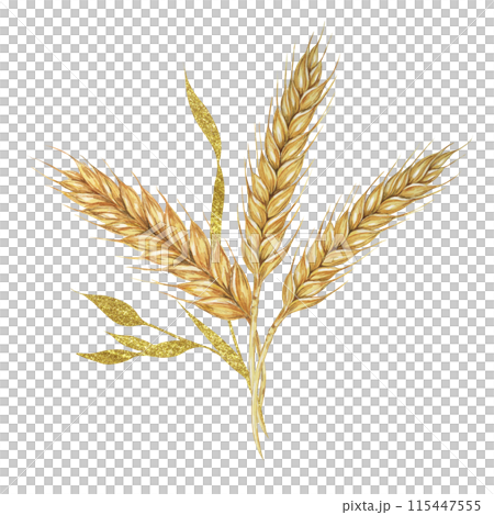 Wheat ears bouquet. Barley stalks watercolor design with gold elements. Rustic clipart for barn wedding invitations, save the date, Thanksgiving, Shavuot, bakery design, labels and gift tags 115447555