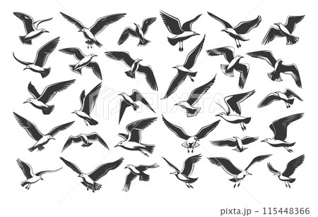 Doodle Style Sea Gulls Icons Set. Hand-Drawn Simple Illustrations. Black Sketches of Seagulls on White Background. Flying Birds, Coastal Wildlife, Ocean Creatures, Marine Animals, Seaside Birds 115448366