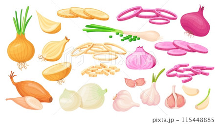 Cartoon cut onion. Cutting farm green or red onions and garlic, chopped purple half vegetable bulb fresh shallot vegetables slices organic healthy food 115448885